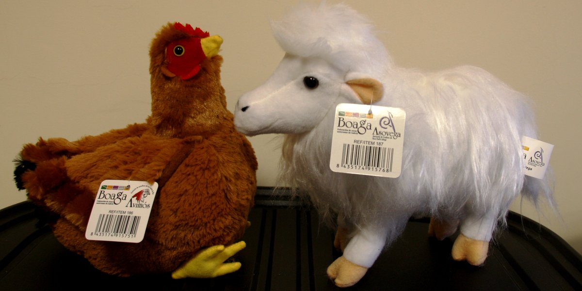 img_8648-foto-recortada-peluches