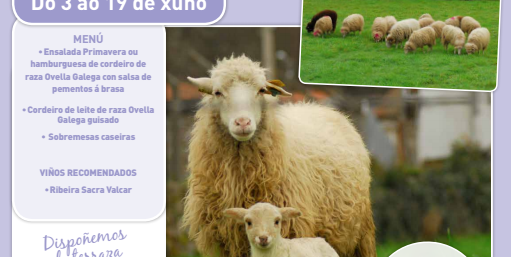 iv-xornadas-rio-lea-cordeiro_YhLwXPS