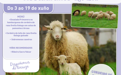 iv-xornadas-rio-lea-cordeiro_YhLwXPS