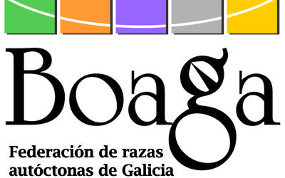 logoboaga