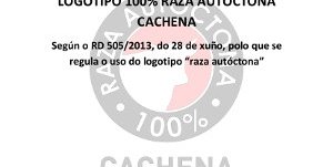 manual-logotipo-100x100-cc