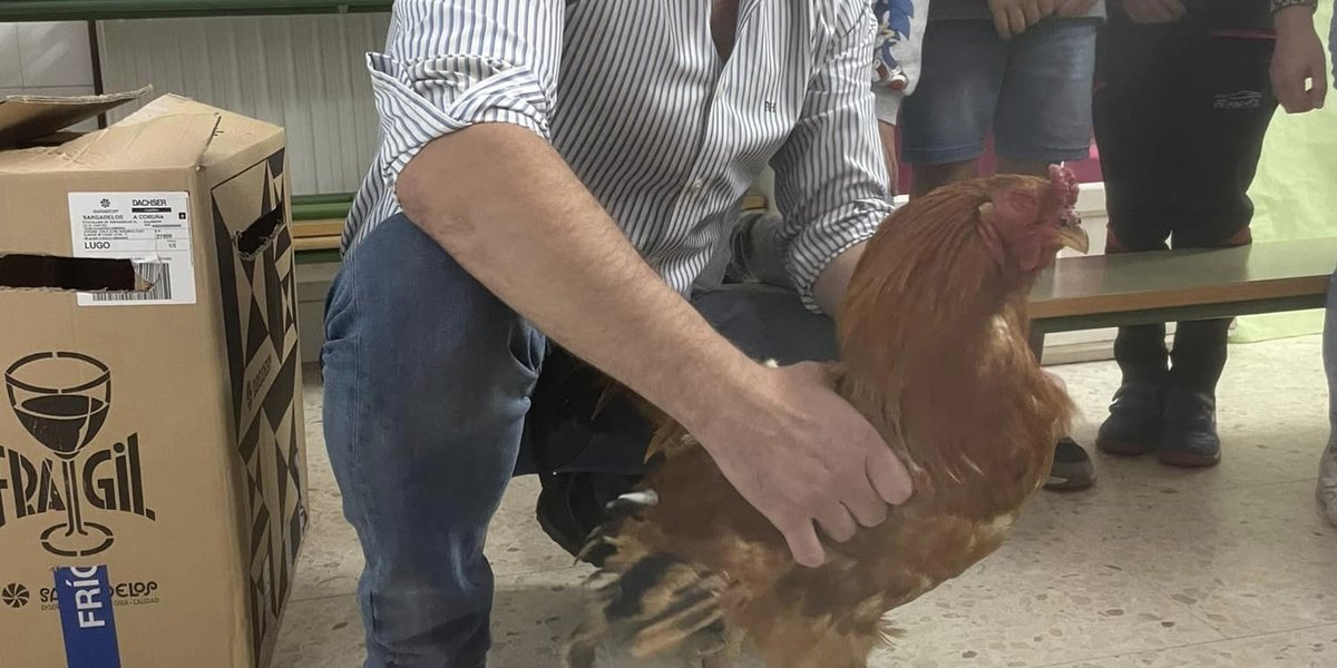 no-ceip-riotorto-naceron-polinos_2