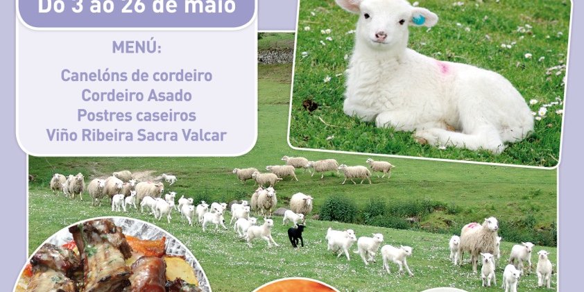 ovella_galega_rio_lea_2j