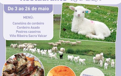 ovella_galega_rio_lea_2j