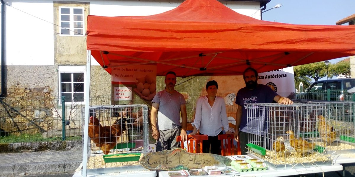 pilono-1