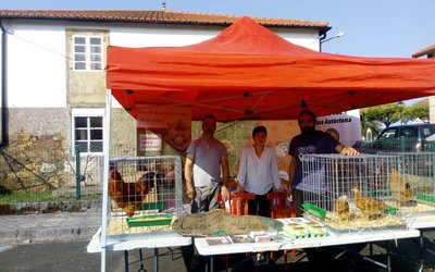 pilono-1