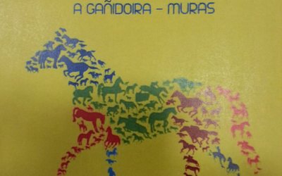 portada-1