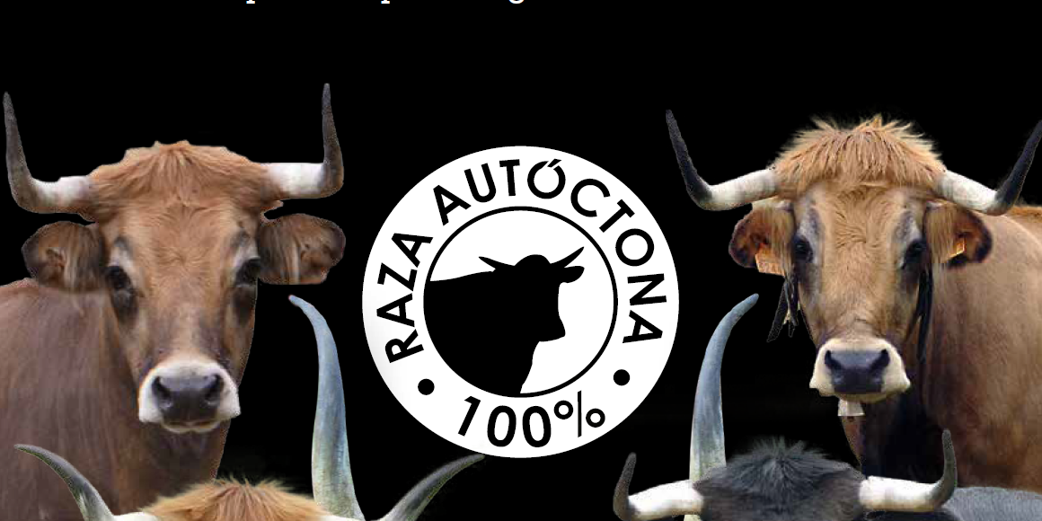 portada-revista_12