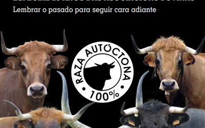 portada-revista_12