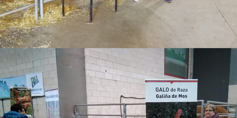 portada_mesondovento