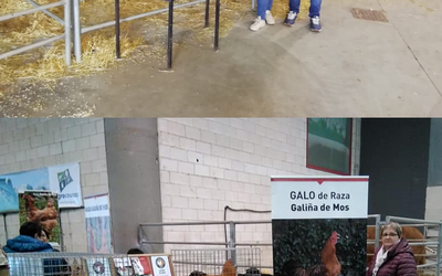 portada_mesondovento