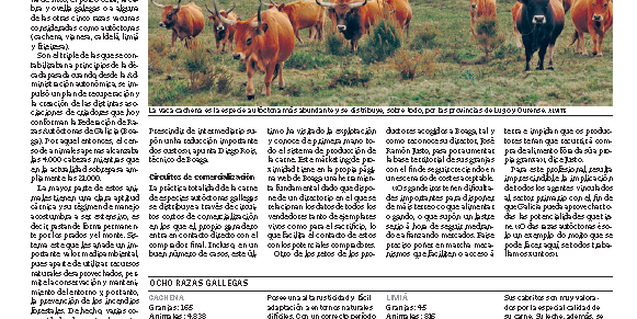 razas-autoctonas-voz-de-galicia