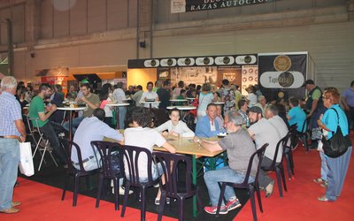 restaurante-tapirazas