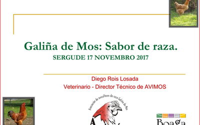 sergude
