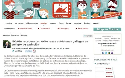 sin-titulo