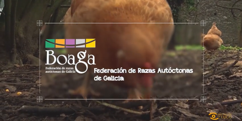 video-boaga_deputacion_-lugo