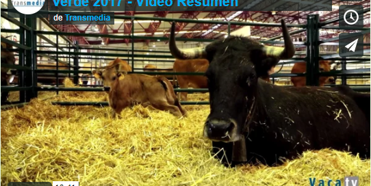 video-resumo-semana-verde