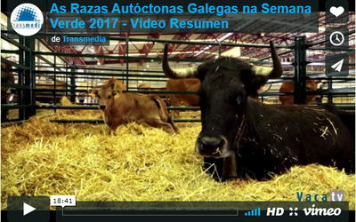 video-resumo-semana-verde