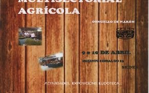 vii-feria-de-naron-9-10-abril