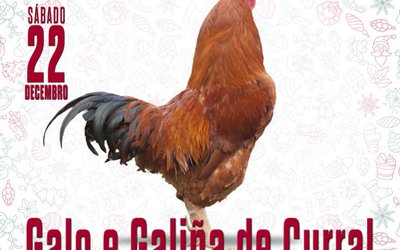vila-de-cruces_galo-curral