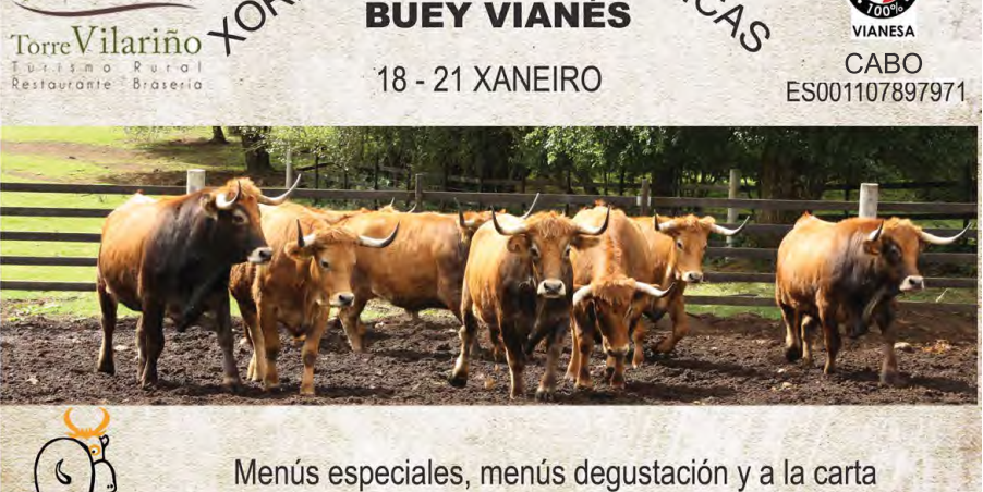 xornadas-boi-raza-vianesa_RDN6PCP
