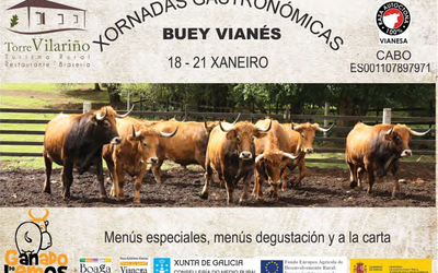 xornadas-boi-raza-vianesa_RDN6PCP