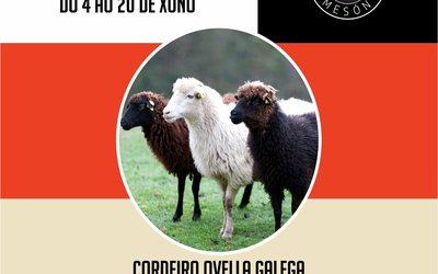xornadas-cordeiro-pontedeume