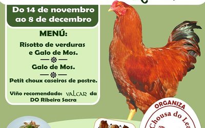 xornadas-galo-de-mos-no-rio-lea
