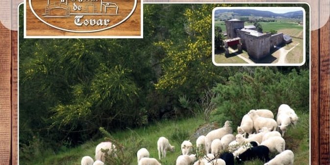xornadas-ovella-galega_o_forno-de-tovar_2020