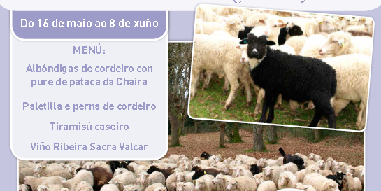 xornadas-ovella-galega-mayo-junio-2014-rio-lea