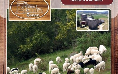 xornadas-ovella-galega_o_forno-de-tovar_2020