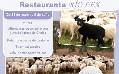 xornadas-ovella-galega-mayo-junio-2014-rio-lea
