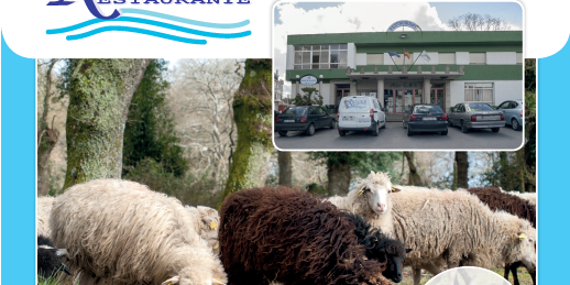 xornadas-rio-lea_cordeiro-ovella-galega