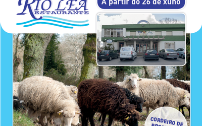 xornadas-rio-lea_cordeiro-ovella-galega