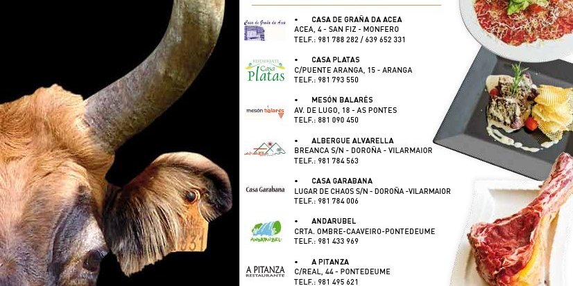 xornadas_cachena