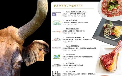 xornadas_cachena
