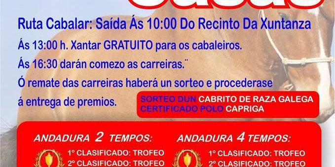 xuntanza-cabalar-os-casas-cerdido