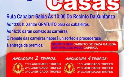 xuntanza-cabalar-os-casas-cerdido
